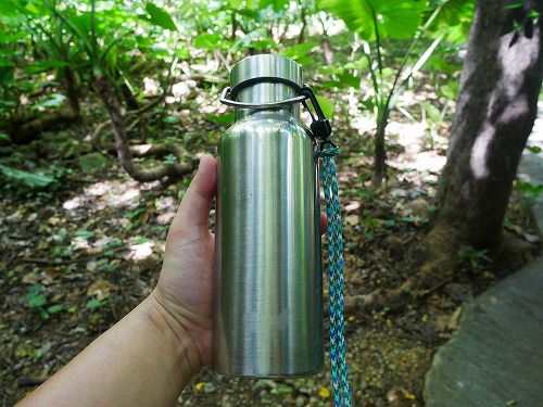 ガンガラーの谷(沖縄)のガイドツアーで渡されるサンピン茶入りのボトル