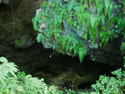 ガンガラーの谷(沖縄)のイナグ洞