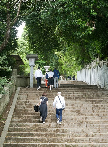 金刀比羅宮の境内
