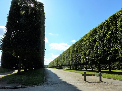 フランス・ベルサイユ宮殿の庭園